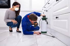 Best Fumigation Services  in Meadowdale, WA